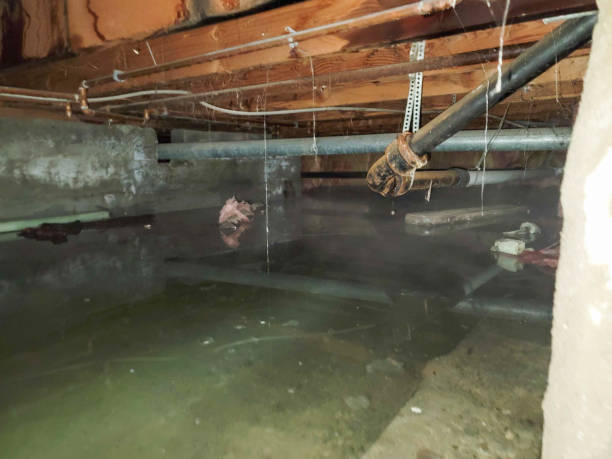  Dillsburg, PA Water damage restoration Pros