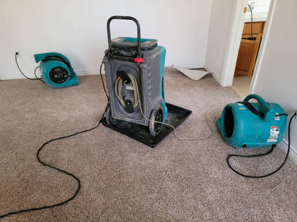 Best Mold removal after water damage  in Dillsburg, PA