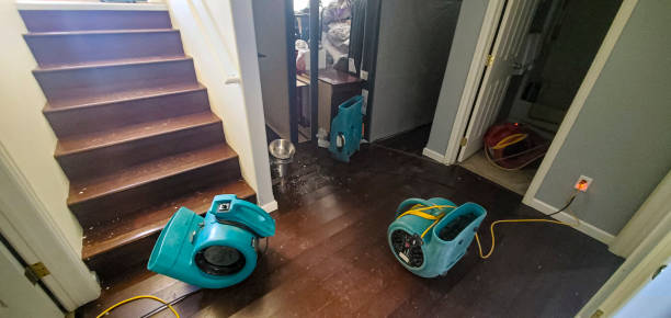 Best Residential water damage restoration  in Dillsburg, PA