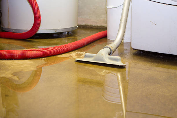 Best Carpet water damage restoration  in Dillsburg, PA