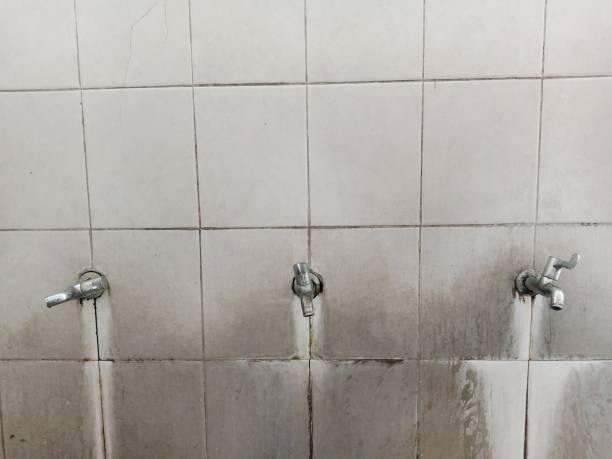 Best Commercial water damage restoration  in Dillsburg, PA