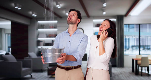 Best Water damage restoration near me  in Dillsburg, PA